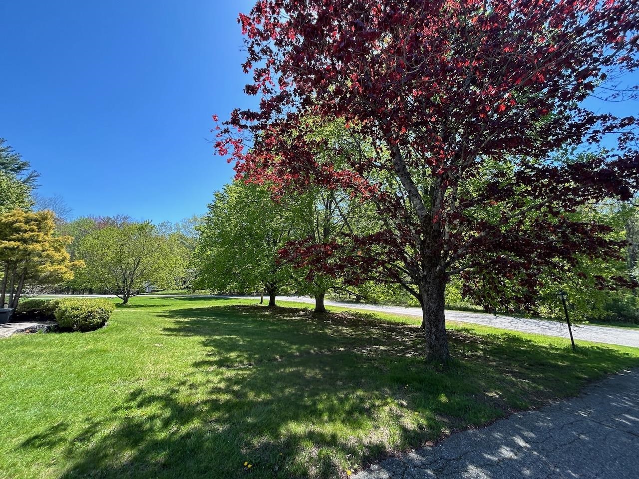 9 Oak Ridge Road Kensington, NH 03833 - Photo 59 of 60