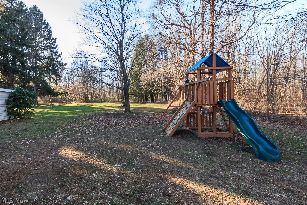 2350 Dock Road Madison, OH 44057 - Photo 23 of 29 Spacious 1 acre backyard with play set that stays.