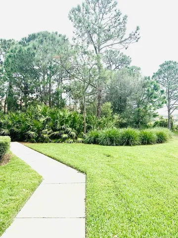 a view of a grassy field with trees in the background