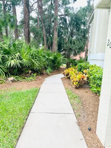 a view of a yard with plants