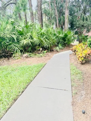 a view of a backyard that has a tree on the side of the road