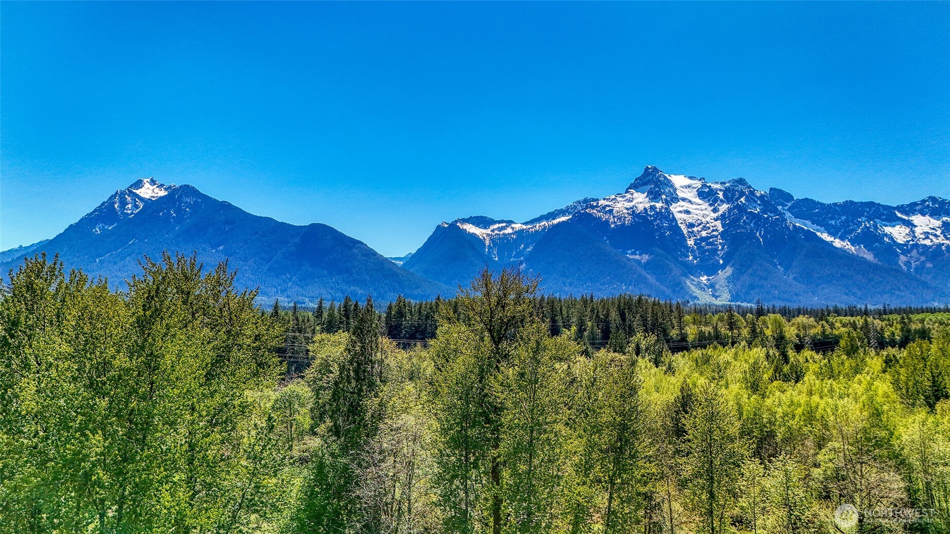 462-xx Giles Road Darrington, WA 98241 - Photo 12 of 13 a view of a yard with plants