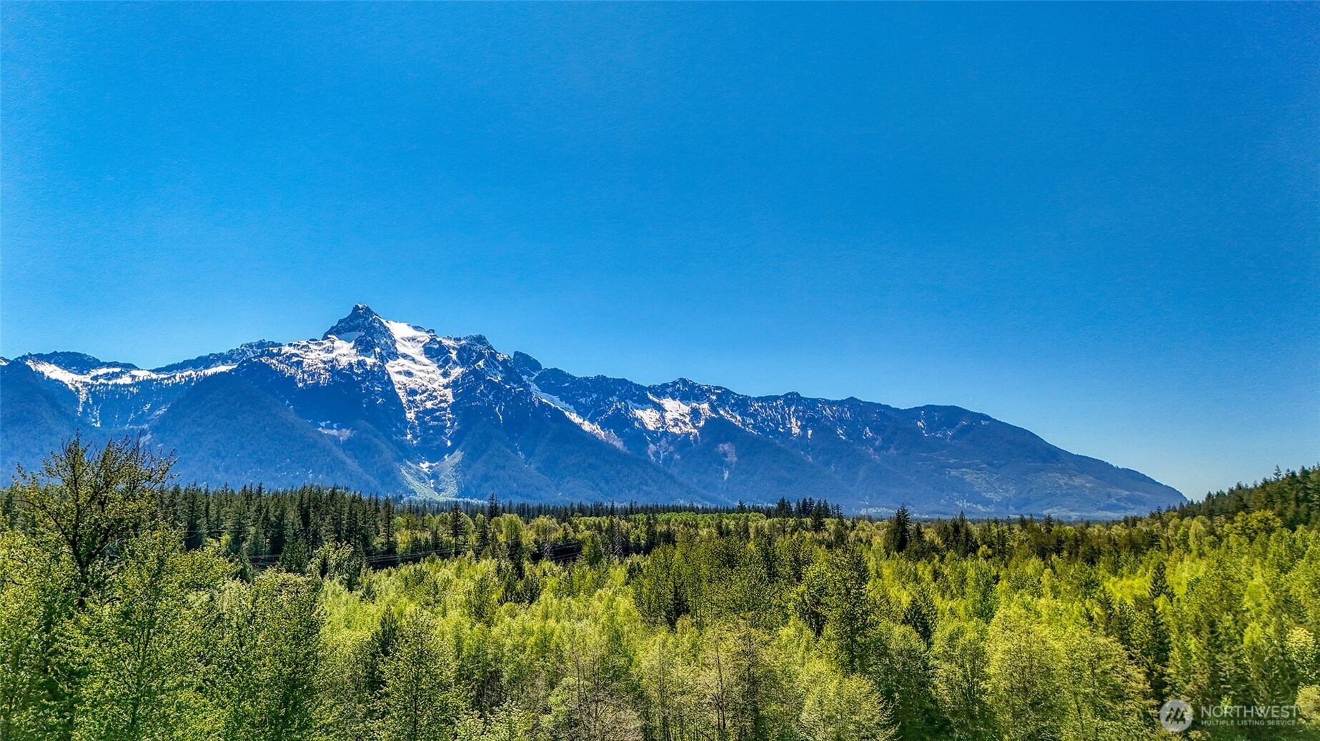 462-xx Giles Road Darrington, WA 98241 - Photo 13 of 13 a view of a yard