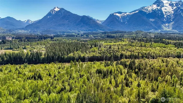 a view of a garden with a building in the background