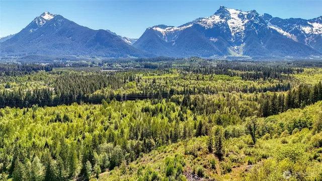 a view of a street with a yard