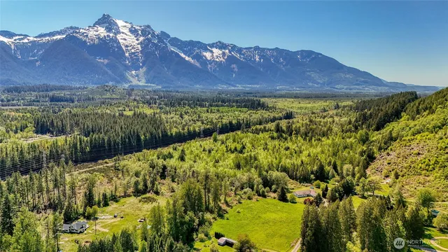 a view of a yard with plants