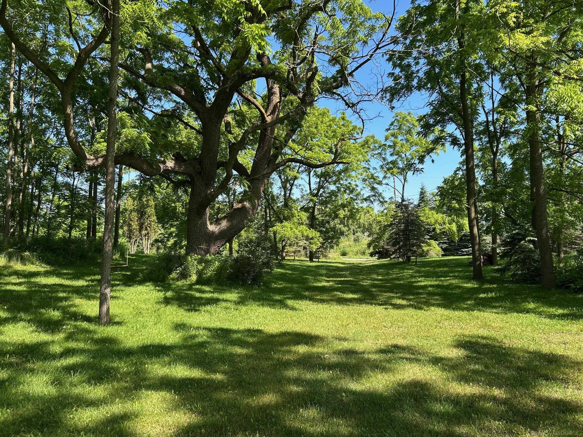 4550 Snover Road Carsonville, MI 48419 - Photo 7 of 7