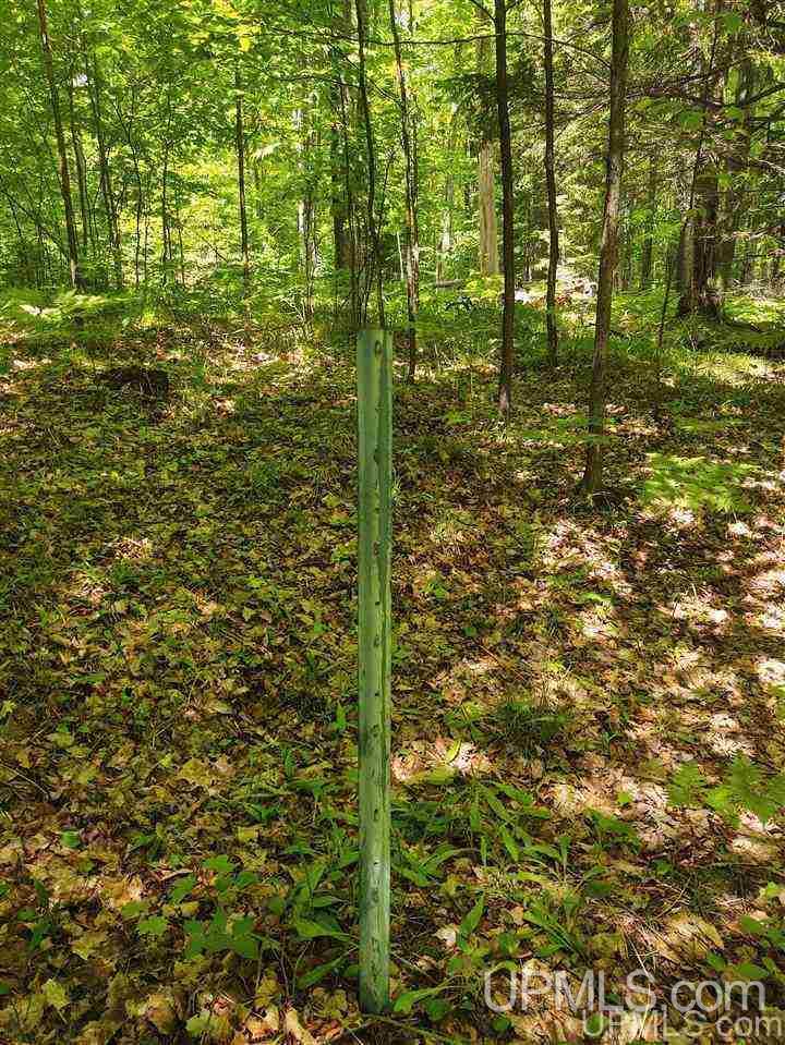 Tbd Tbd Indian Cemetery Road Lanse, MI 49946 - Photo 16 of 40