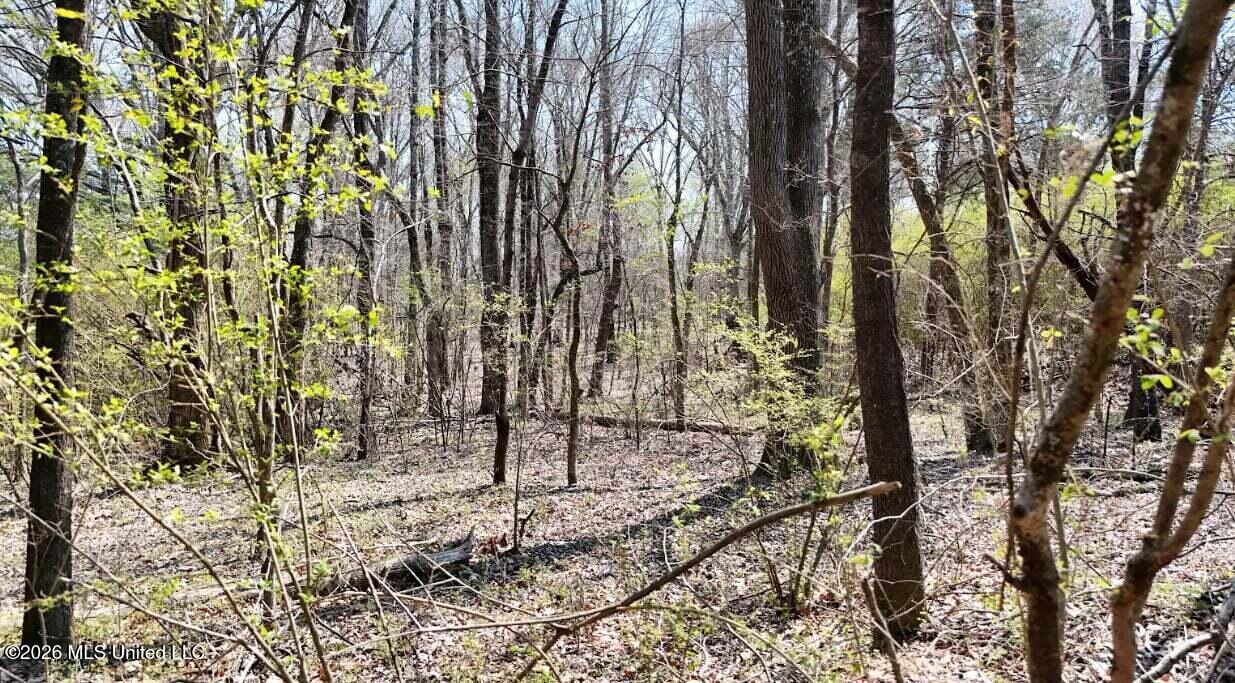 0 North Mullins Road Byhalia, MS 38611 - Photo 4 of 11 9895367e-eed6-4443-a3c7-b711c27550a4