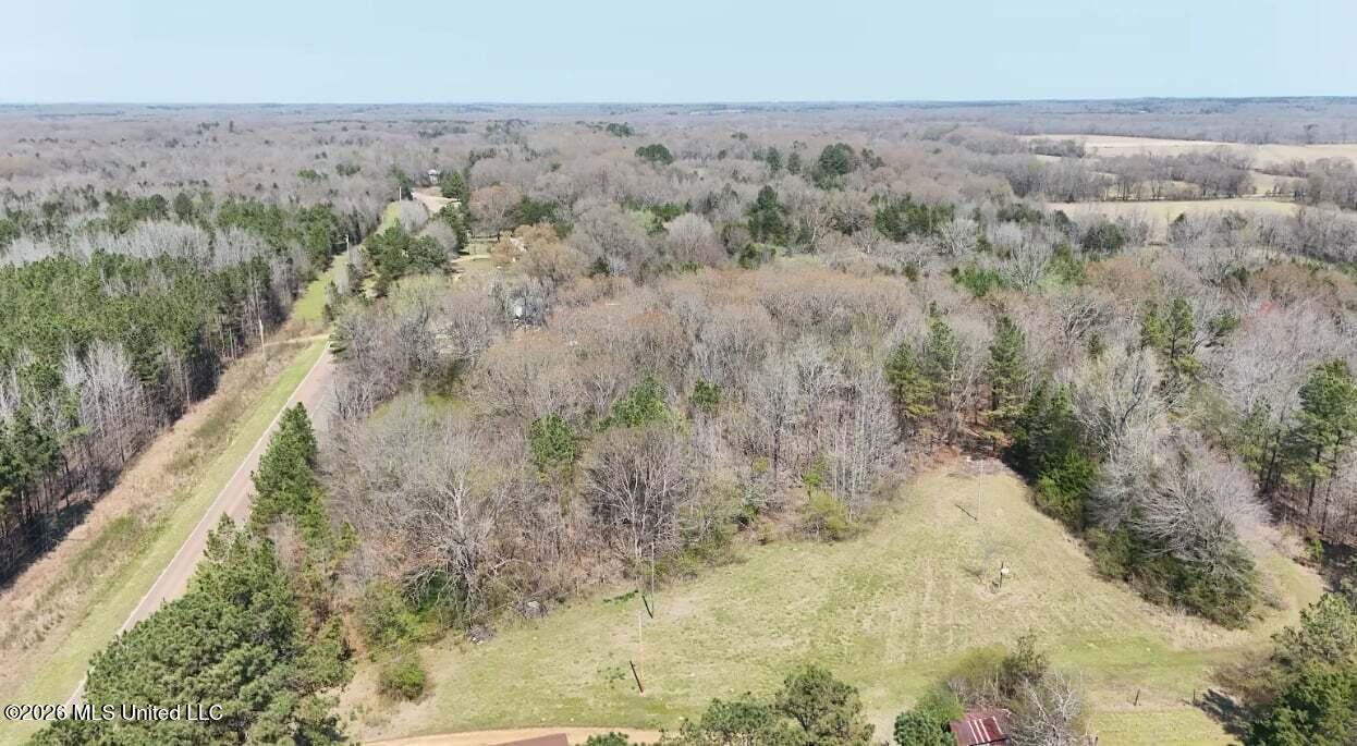 0 North Mullins Road Byhalia, MS 38611 - Photo 6 of 11 b055e45f-6a99-4de9-9a61-90d03ab5b029 (1)