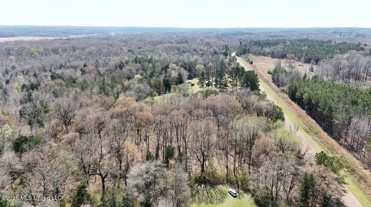 0 North Mullins Road Byhalia, MS 38611 - Photo 7 of 11 ea03782a-9a1c-4429-8d51-0a7385c7b9a2