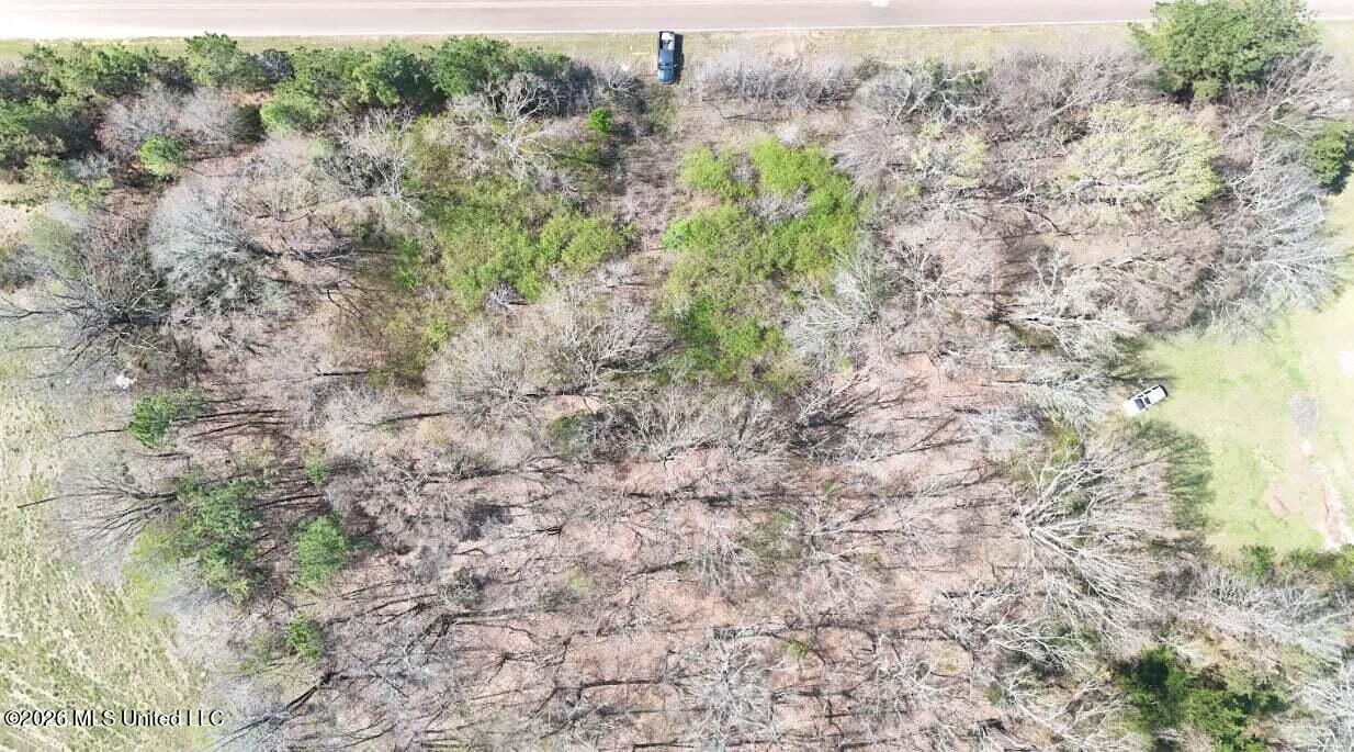 0 North Mullins Road Byhalia, MS 38611 - Photo 8 of 11 c10c2fec-c0da-40db-aefa-3fb06de0912c