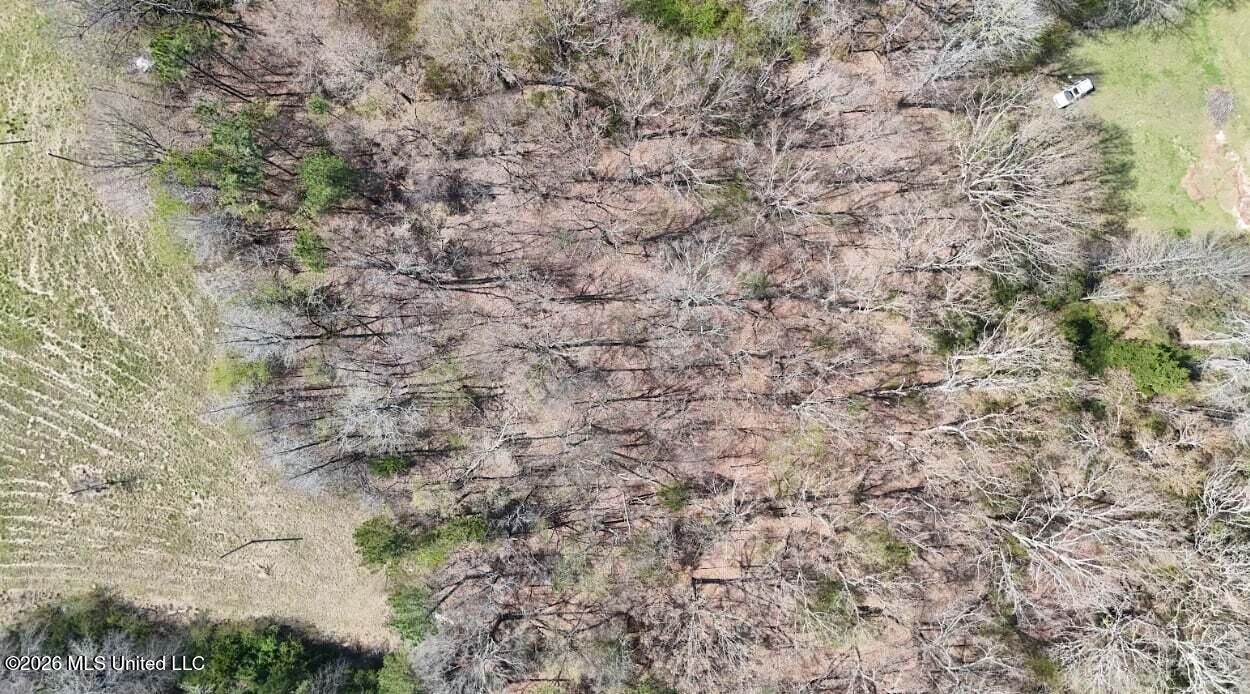 0 North Mullins Road Byhalia, MS 38611 - Photo 9 of 11 708cbb35-bb2b-45c3-9563-f5130eac73ca