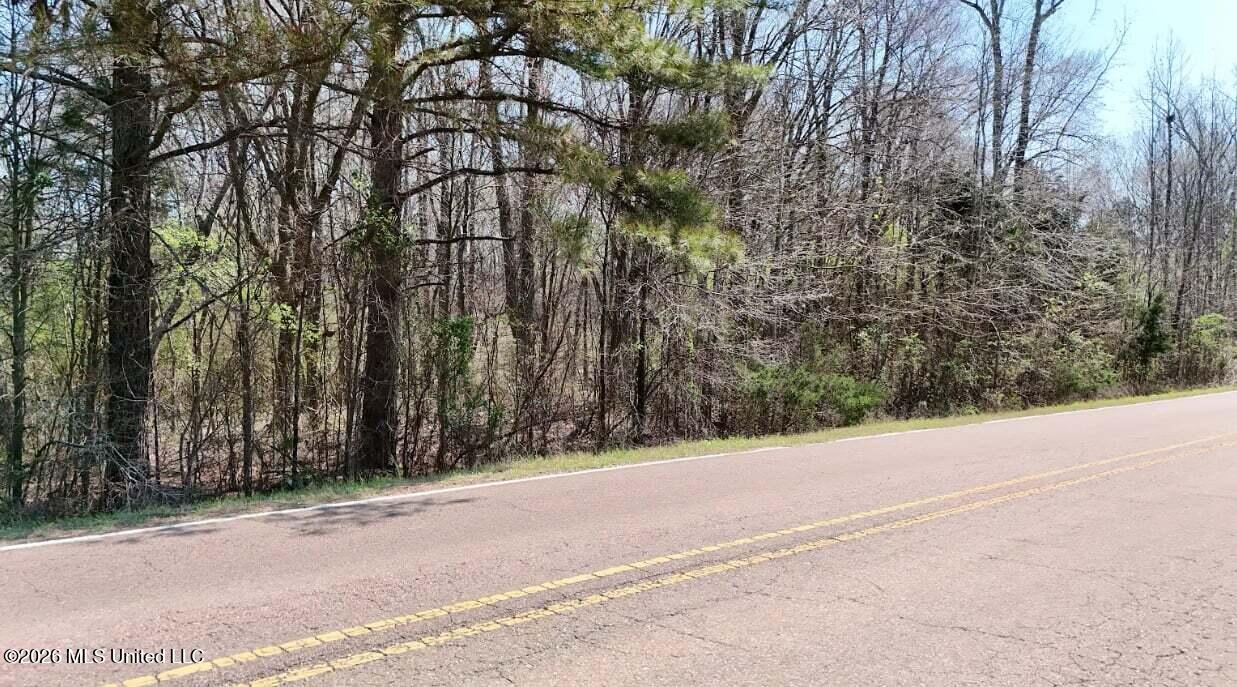 0 North Mullins Road Byhalia, MS 38611 - Photo 10 of 11 2a4fb6c2-6e61-48a7-a266-7c0def61fd78