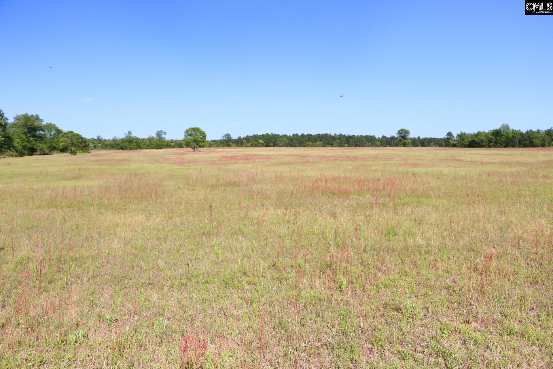 Tbd Browns Pond Road Wagener, SC 29164 - Photo 10 of 48