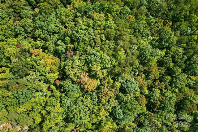 $225,000 | 366 Boland Drive, Lake Lure, NC 28746