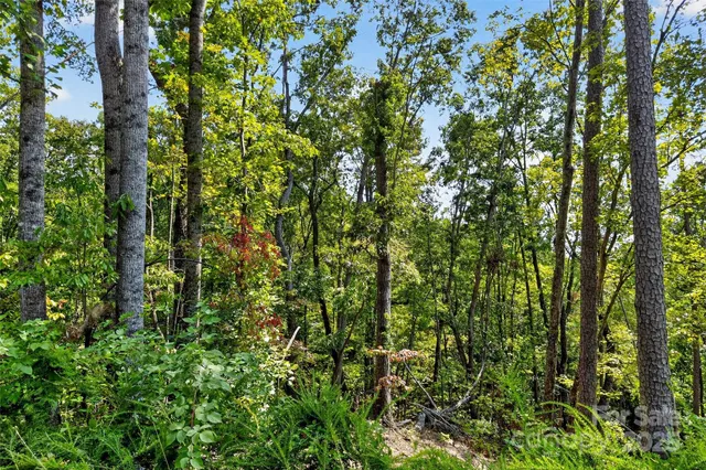 $225,000 | 366 Boland Drive, Lake Lure, NC 28746