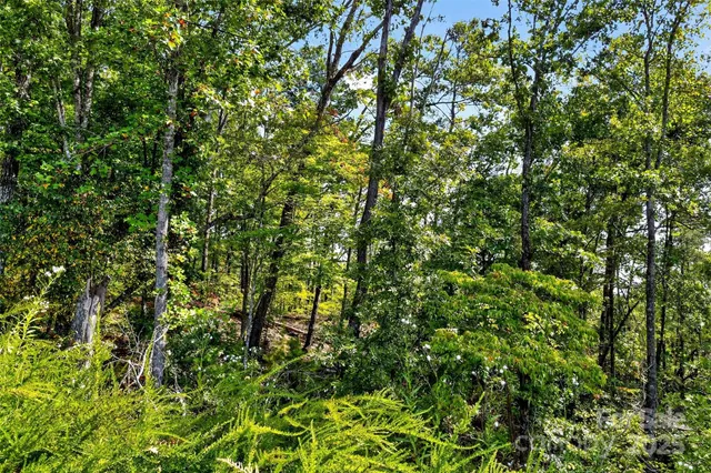 $225,000 | 366 Boland Drive, Lake Lure, NC 28746