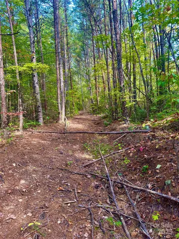 $225,000 | 366 Boland Drive, Lake Lure, NC 28746