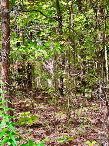 $225,000 | 366 Boland Drive, Lake Lure, NC 28746