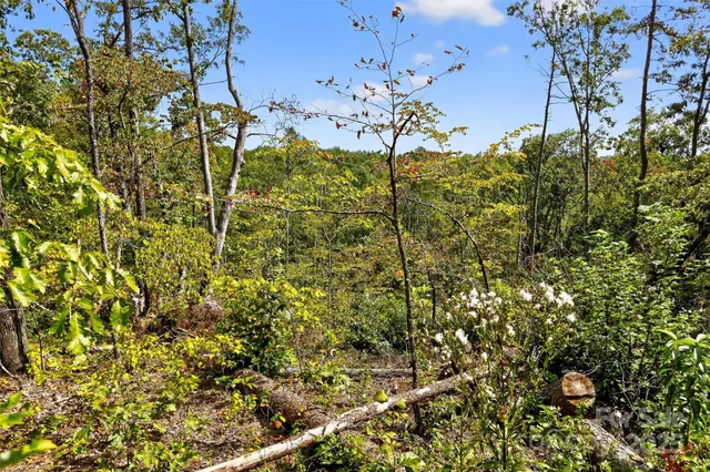 $225,000 | 366 Boland Drive, Lake Lure, NC 28746