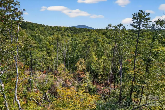 $225,000 | 366 Boland Drive, Lake Lure, NC 28746