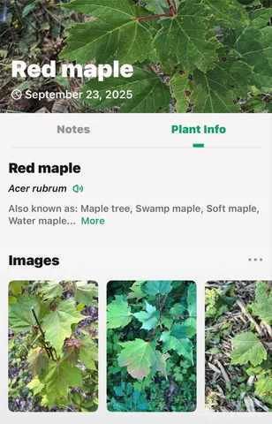 $225,000 | 366 Boland Drive, Lake Lure, NC 28746