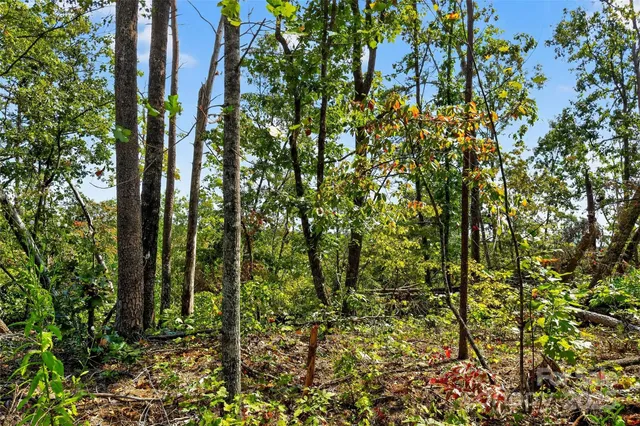 $225,000 | 366 Boland Drive, Lake Lure, NC 28746