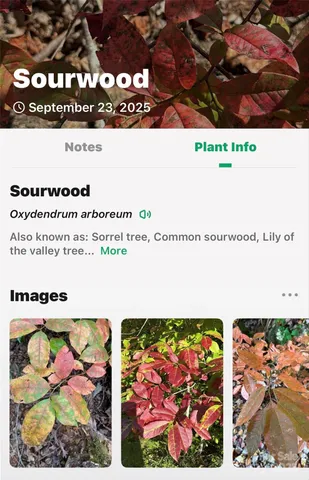 $225,000 | 366 Boland Drive, Lake Lure, NC 28746