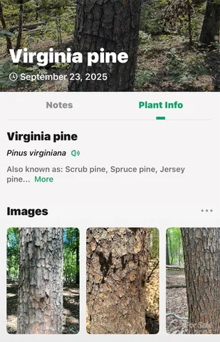 $225,000 | 366 Boland Drive, Lake Lure, NC 28746