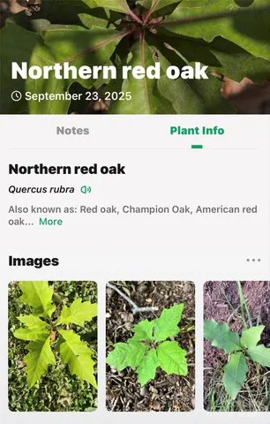 $225,000 | 366 Boland Drive, Lake Lure, NC 28746