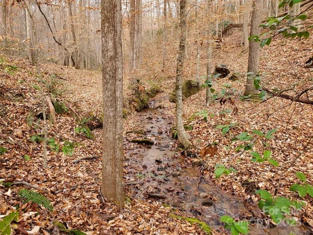 $225,000 | 366 Boland Drive, Lake Lure, NC 28746