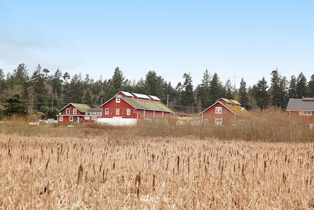2833 North Bluff Road Greenbank, WA 98253 - Photo 7 of 25 Gallery Image 7