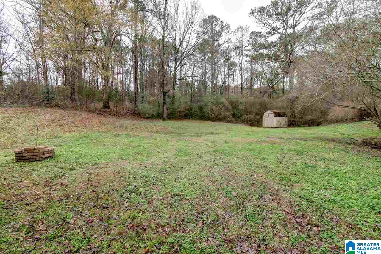 127 Murphrees Valley Road Springville, AL 35146 - Photo 23 of 24