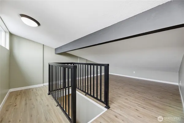 a view of a backyard with potted plants and large tree