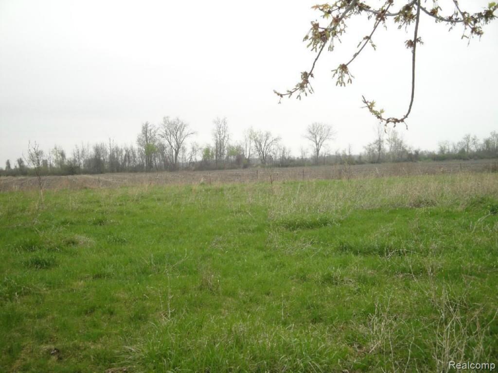 3338 Bullock Road Brown City, MI 48416 - Photo 14 of 14 Yard
