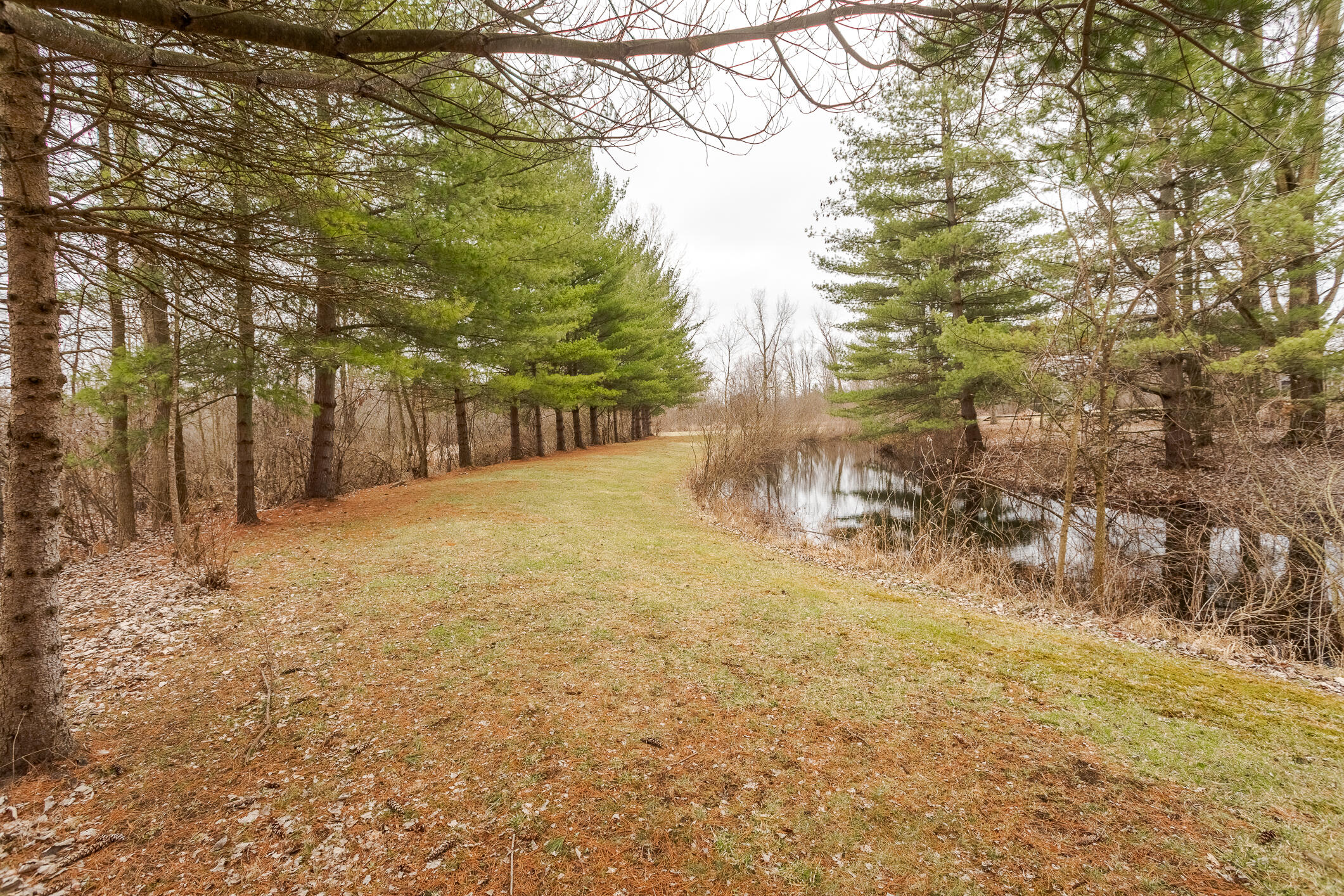 7015 Jones Road Jackson, MI 49201 - Photo 14 of 47 jones-30