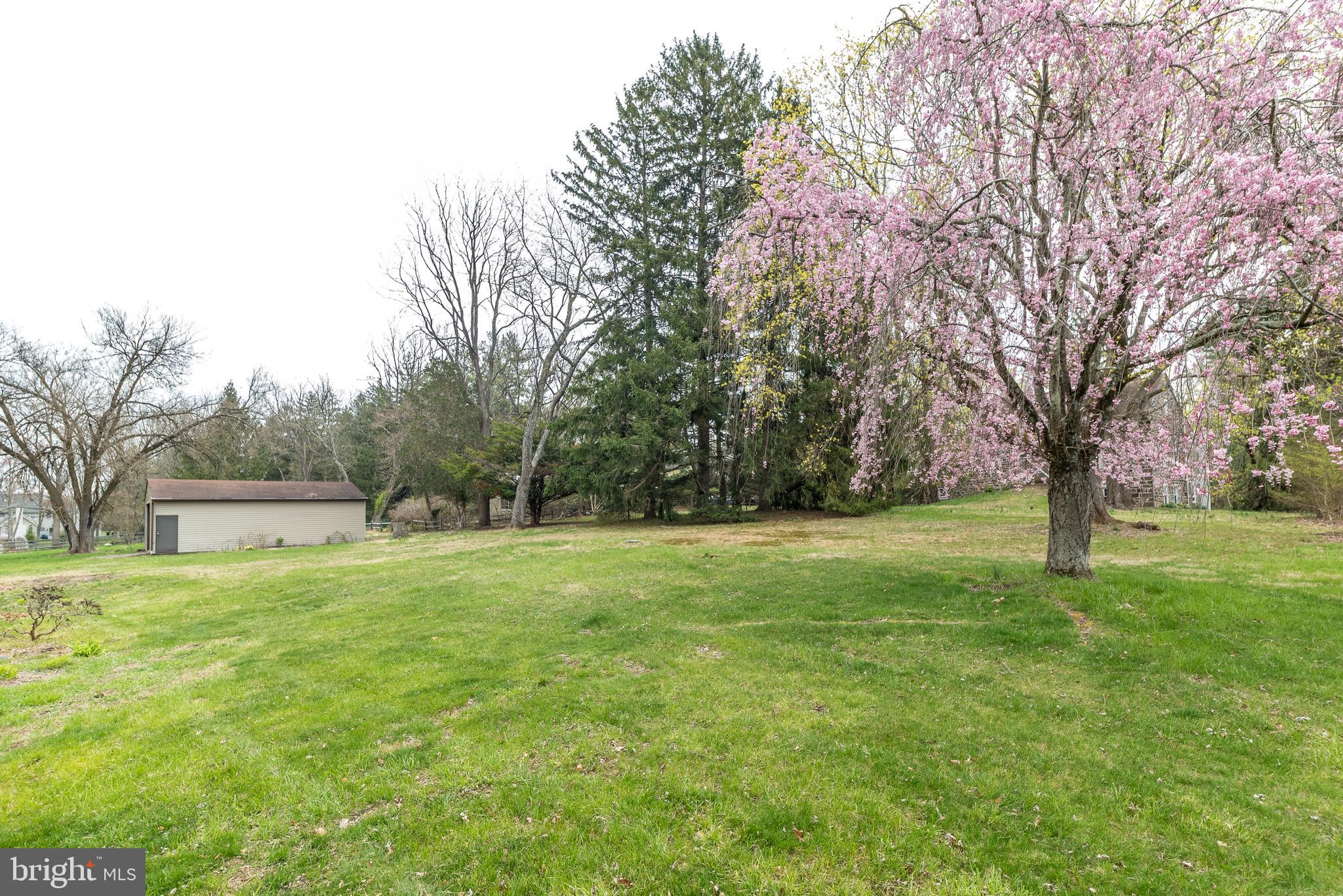 35 Fox Hill Road Doylestown, PA 18901 - Photo 44 of 49 a view of backyard with large trees