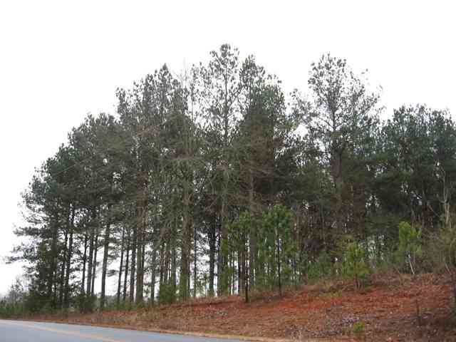 0 West Pond Fork Road, Unit TRACT B Westminster, SC 29693 - Photo 3 of 3 Gallery Image 3