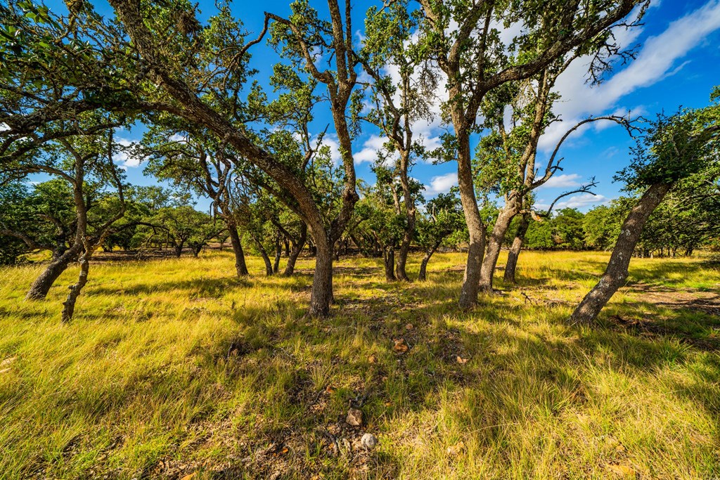 Lot 30 Reservation Road, Unit 30 Harper, TX 78631 - Photo 7 of 7 Gallery Image 7