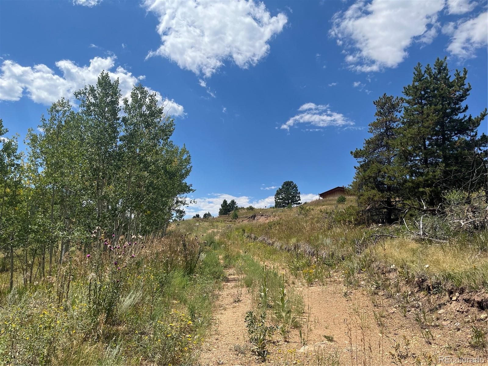 795 Russell Gulch Road Central City, CO 80427 - Photo 10 of 24