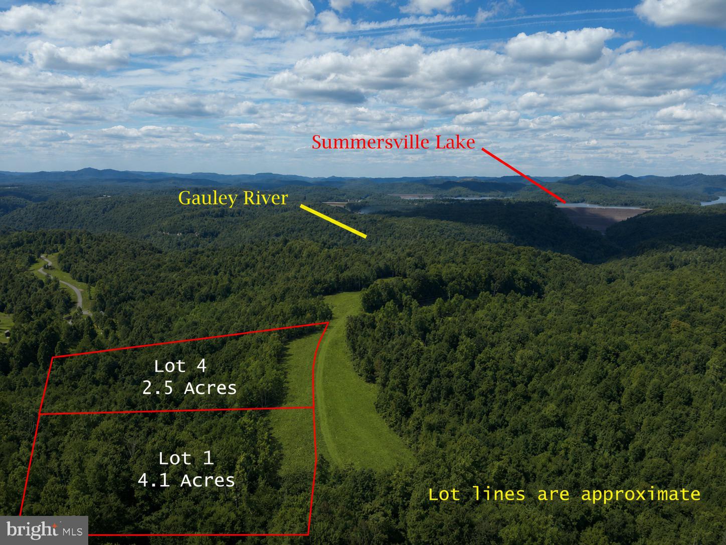 Lot 4 Gauley Ridge Rd Mount Mount Nebo, WV 26679 - Photo 2 of 15
