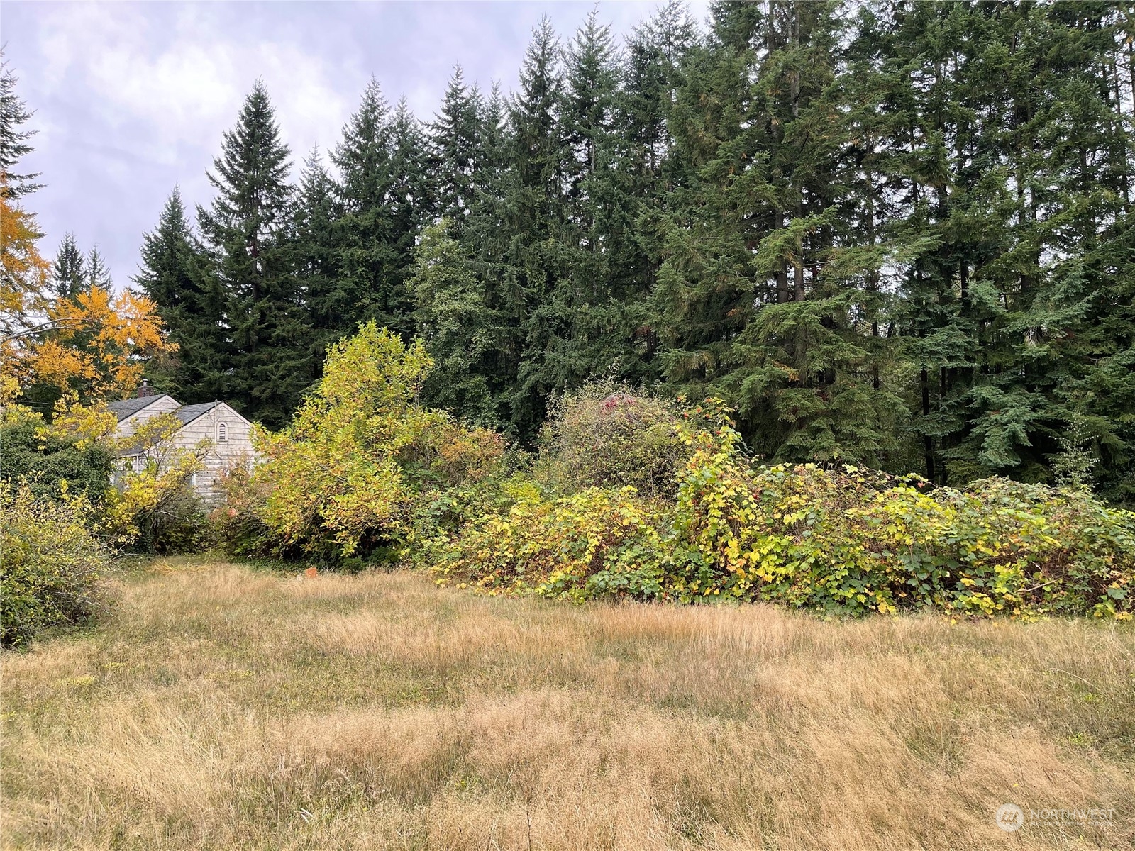 7210 Lower Ridge Road Everett, WA 98203 - Photo 5 of 7 a view of a yard with a tree