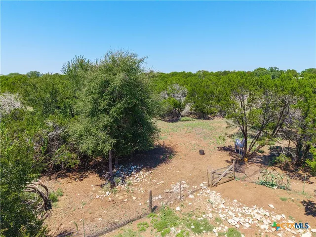 a view of a yard with a tree