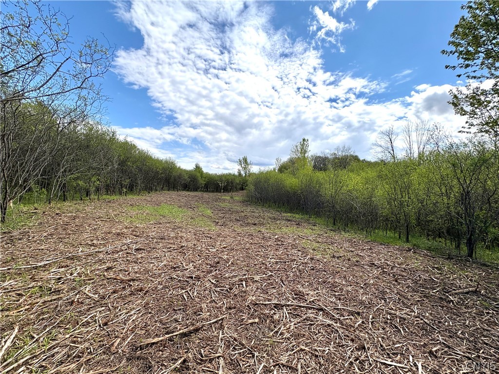 Glanville Road Auburn, NY 13021 - Photo 13 of 13