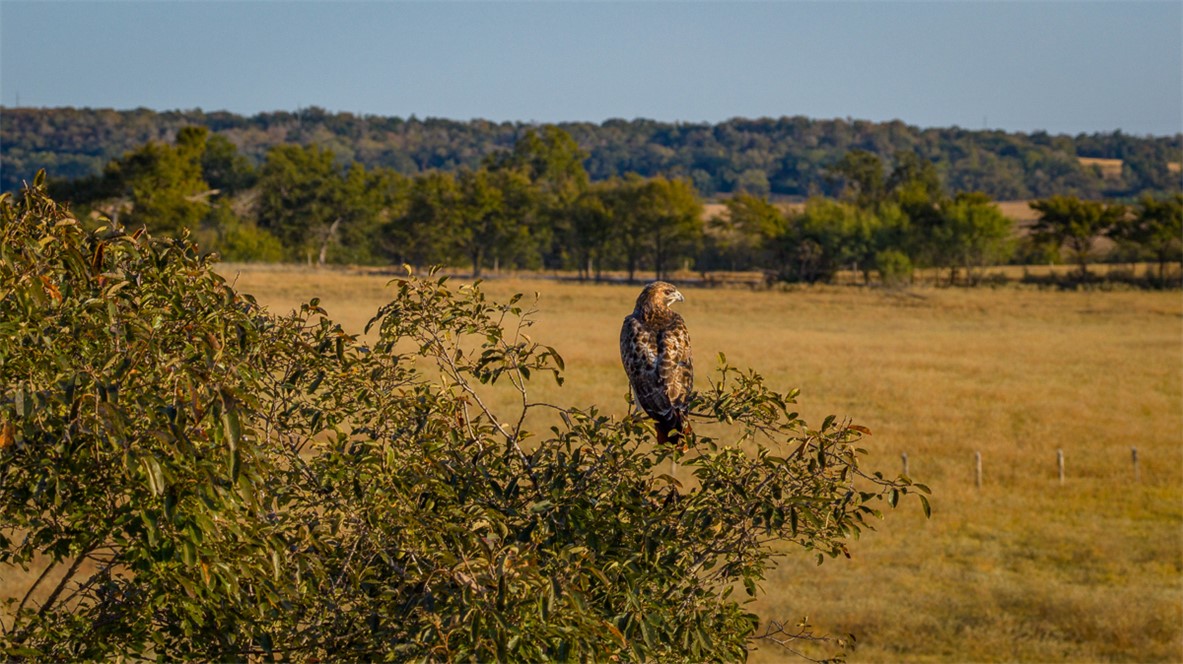 11258 Providence Road Hearne, TX 77859 - Photo 35 of 39 a view of lake with mountain