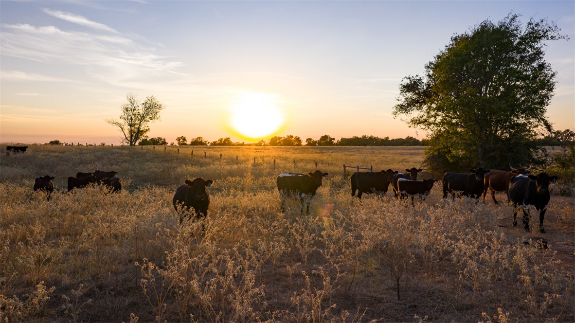 11258 Providence Road Hearne, TX 77859 - Photo 36 of 39 a view of a lake with houses in back