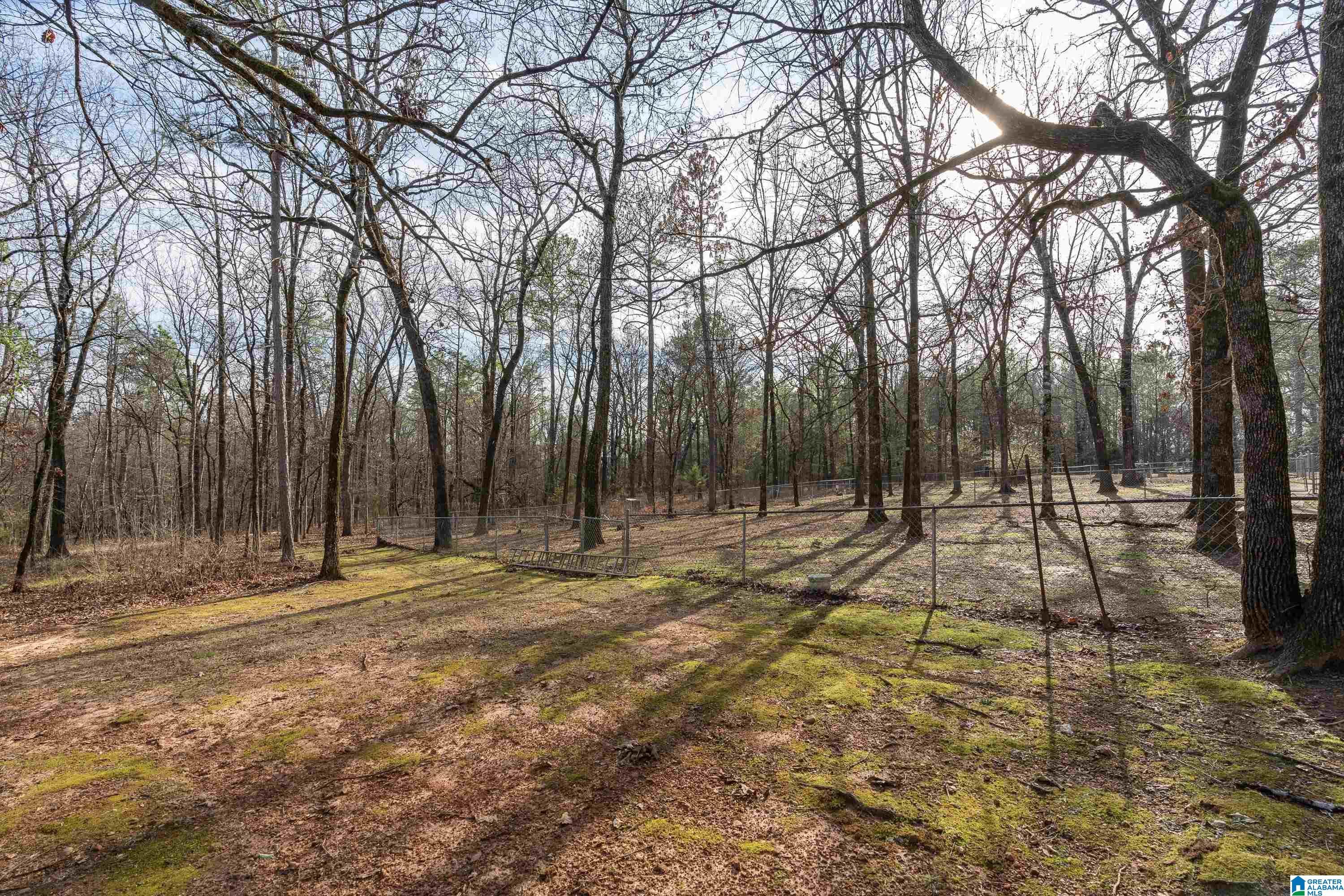 135 Plateau Road Montevallo, AL 35115 - Photo 32 of 53