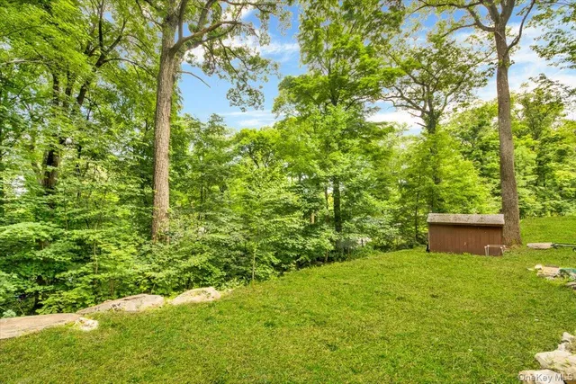 a view of a big yard with large trees