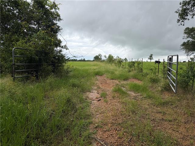 0 East Bell Road Amite, LA 70422 - Photo 8 of 8
